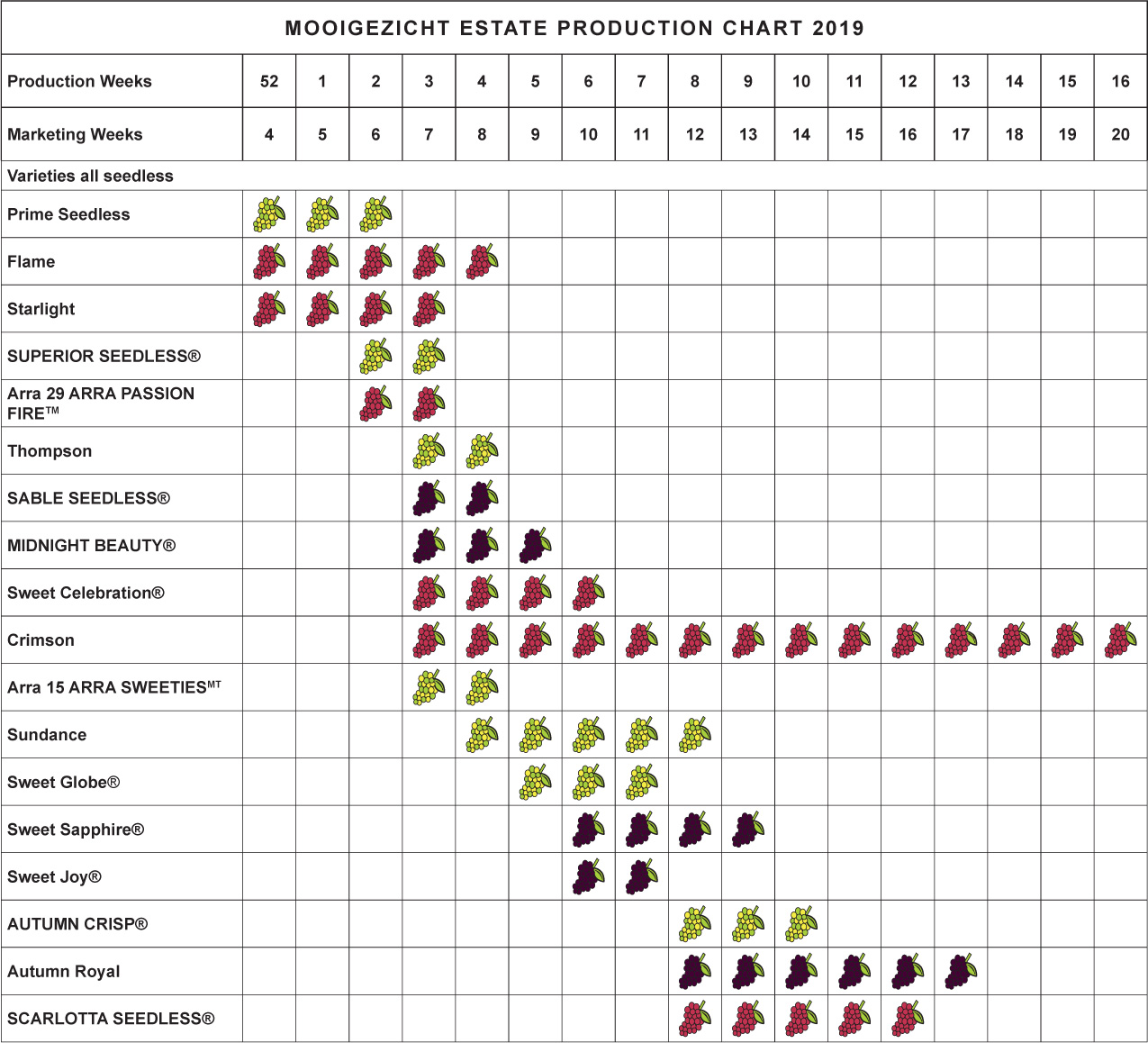 Mooi-Production-chart-2019